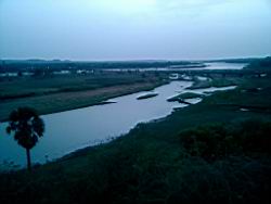 2010-05-29 19.24.27.jpg
